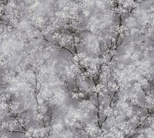 Ταπετσαρία τοίχου δέντρα 374201-96