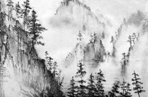 Ρόλλερ Σκίασης Ψηφιακής Εκτύπωσης ''Δάσος'' Ε407-52