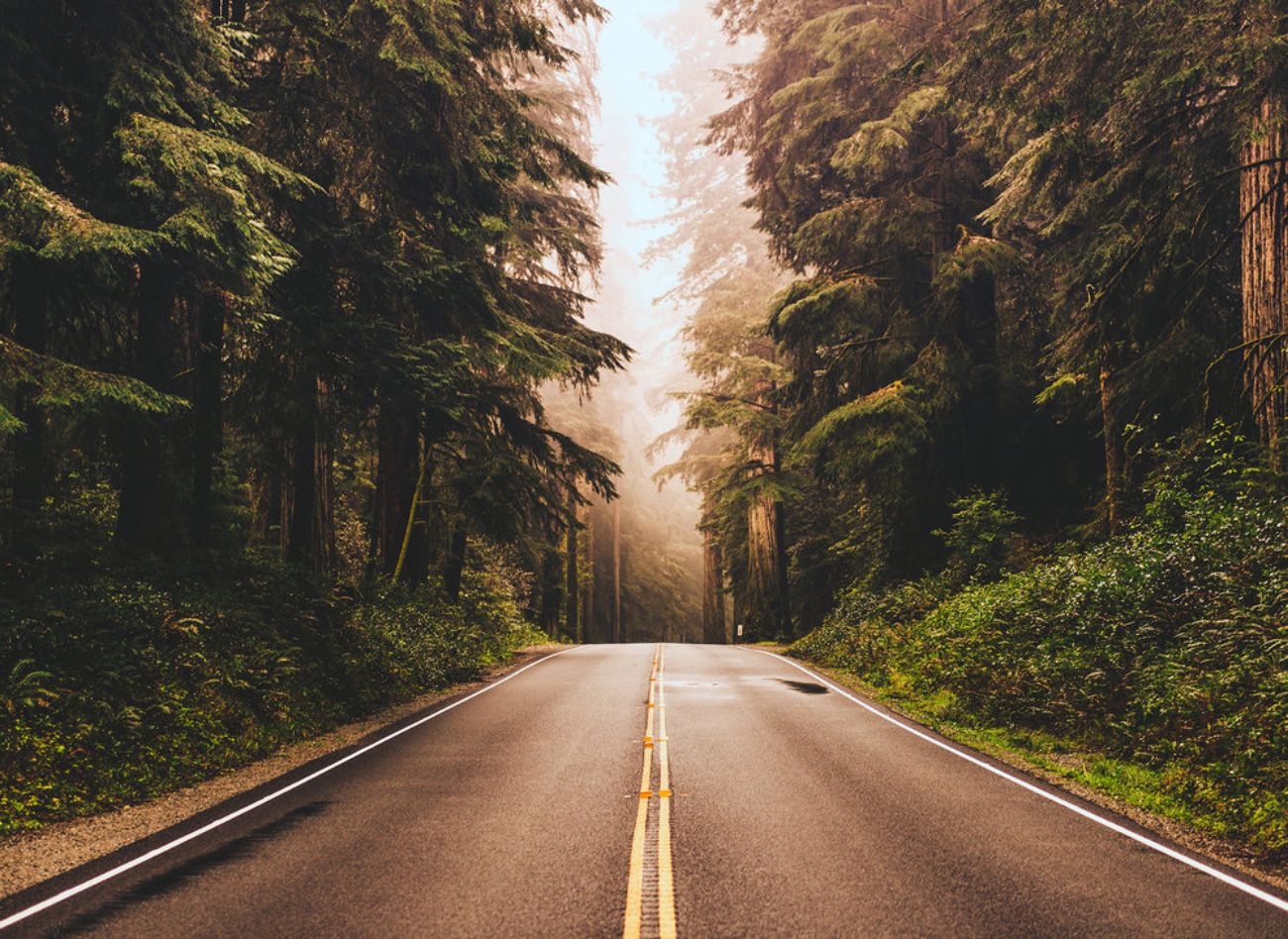Φωτοταπετσαρία τοίχου δρόμος ''Road Trip'' DD118636-96