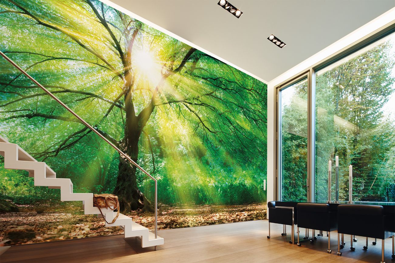 Φωτοταπετσαρία τοίχου δάσος ''Forest Light'' DD118798-96 - Image 2