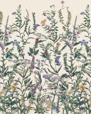 Φωτοταπετσαρία τοίχου ανθισμένα βότανα ''Flowering Herbs'' X4/1011-96