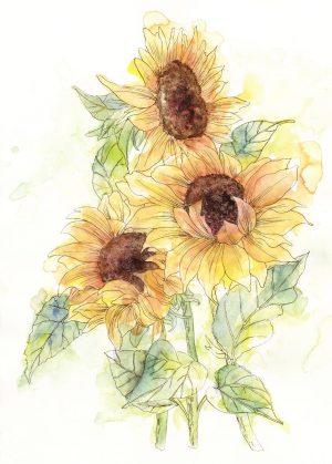 Φωτοταπετσαρία τοίχου ηλιοτρόπια ''Girasol'' X4/1008-96