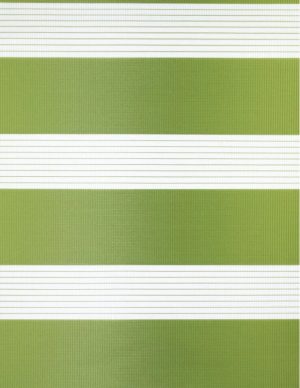 Ρόλλερ Σκίασης διπλό πράσινο D601-14/22