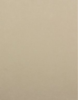 Ρόλλερ Black Out-Πλήρης Σκίασης Velvet μπεζ ανοιχτό HB 02/22