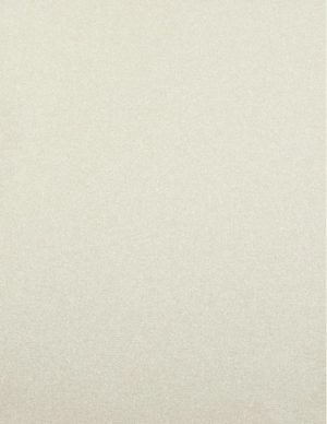 Ρόλλερ Black Out-Πλήρης Σκίασης μεταλλιζέ σαμπανί JBX 02/22