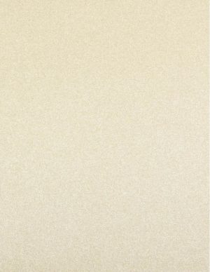 Ρόλλερ Black Out-Πλήρης Σκίασης μεταλλιζέ μπεζ JBX 03/22