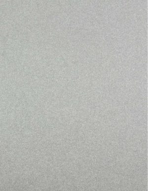 Ρόλλερ Black Out-Πλήρης Σκίασης μεταλλιζέ ασημί JBX 04/22