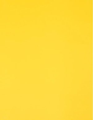 Ρόλλερ Black Out-Πλήρης Σκίασης κίτρινο SK 1021/22