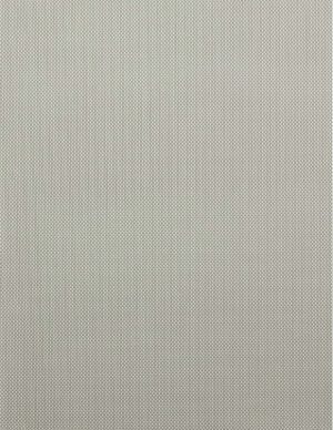 Ρόλλερ Σκίασης Screen γκρι-εκρού SR3845/22